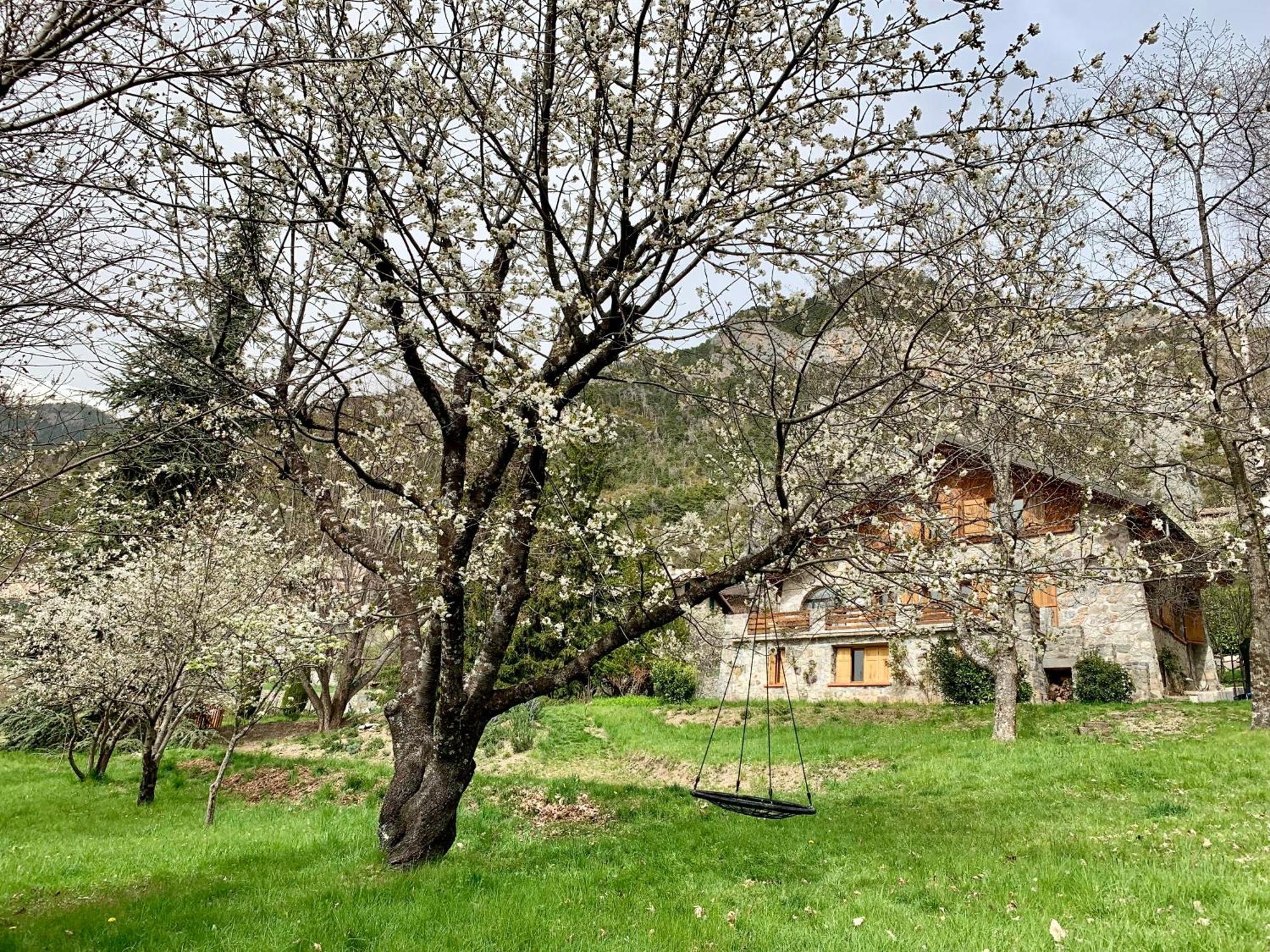 Chalet Le Tilleul Валдеблор Екстериор снимка