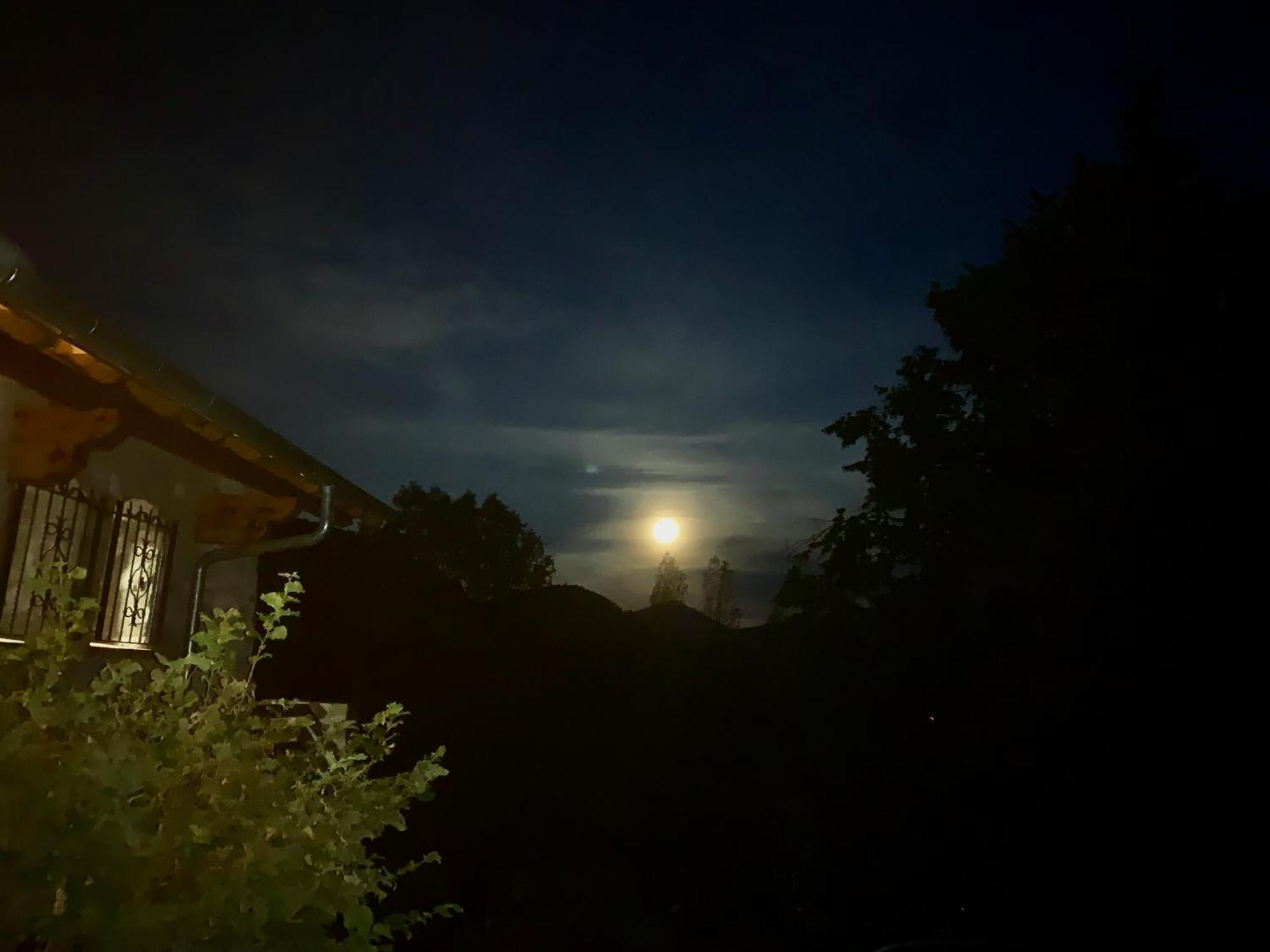 Chalet Le Tilleul Валдеблор Екстериор снимка